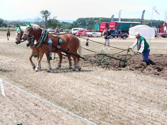 IMG_20260609_115220